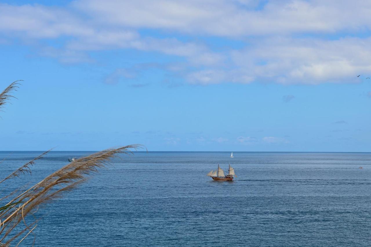 Panoramic Seaview Escape Puerto de Santiago (Tenerife) Exterior foto